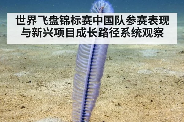 世界飞盘锦标赛中国队参赛表现与新兴项目成长路径系统观察